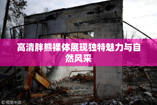 高清胖熊裸体展现独特魅力与自然风采