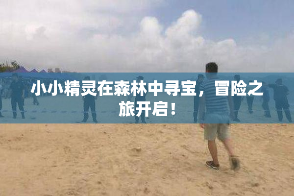 小小精灵在森林中寻宝，冒险之旅开启！