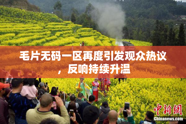 毛片无码一区再度引发观众热议，反响持续升温
