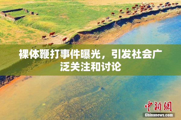 裸体鞭打事件曝光，引发社会广泛关注和讨论