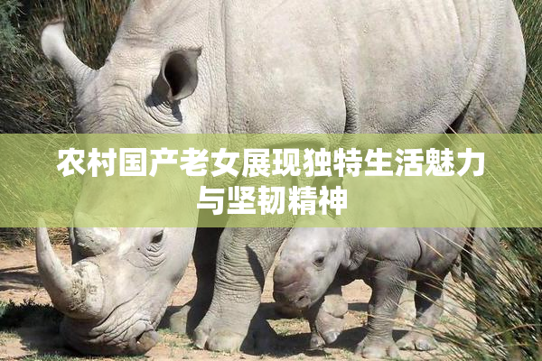 农村国产老女展现独特生活魅力与坚韧精神