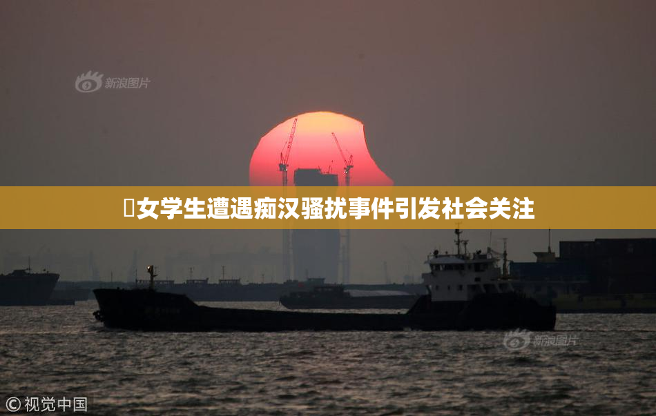 巜女学生遭遇痴汉骚扰事件引发社会关注