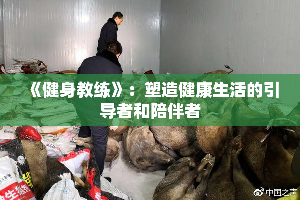《健身教练》：塑造健康生活的引导者和陪伴者