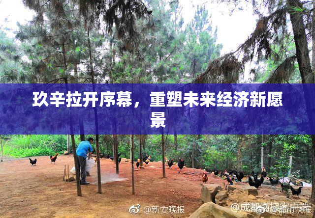 玖辛拉开序幕，重塑未来经济新愿景