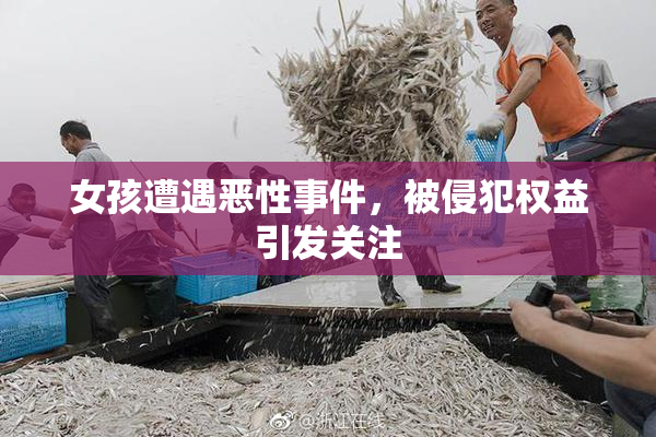 女孩遭遇恶性事件，被侵犯权益引发关注