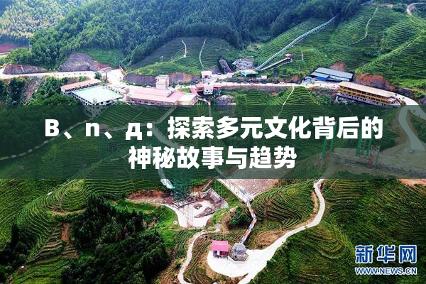B、n、д：探索多元文化背后的神秘故事与趋势