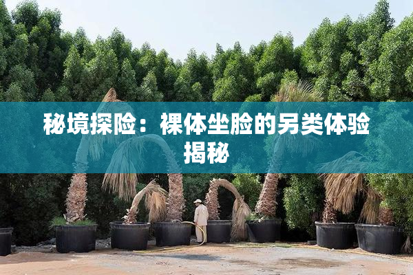 秘境探险：裸体坐脸的另类体验揭秘