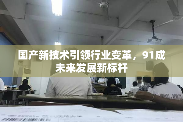国产新技术引领行业变革，91成未来发展新标杆