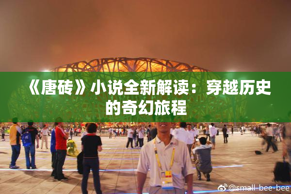 《唐砖》小说全新解读：穿越历史的奇幻旅程