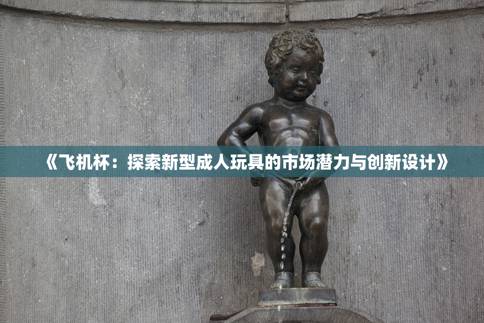 《飞机杯：探索新型成人玩具的市场潜力与创新设计》