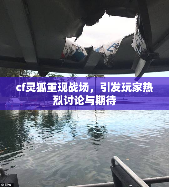 cf灵狐重现战场，引发玩家热烈讨论与期待