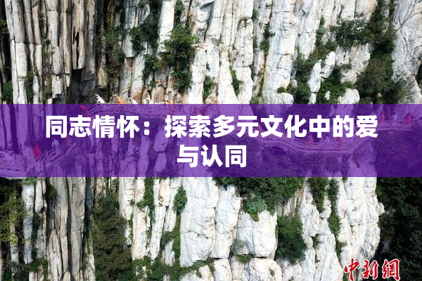同志情怀：探索多元文化中的爱与认同