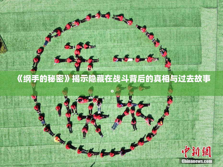 《纲手的秘密》揭示隐藏在战斗背后的真相与过去故事。