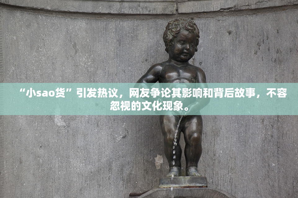 “小sao货”引发热议，网友争论其影响和背后故事，不容忽视的文化现象。