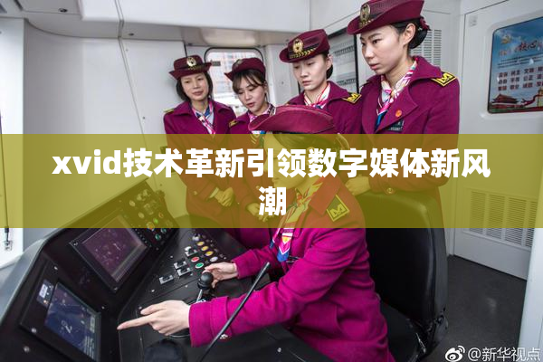 xvid技术革新引领数字媒体新风潮
