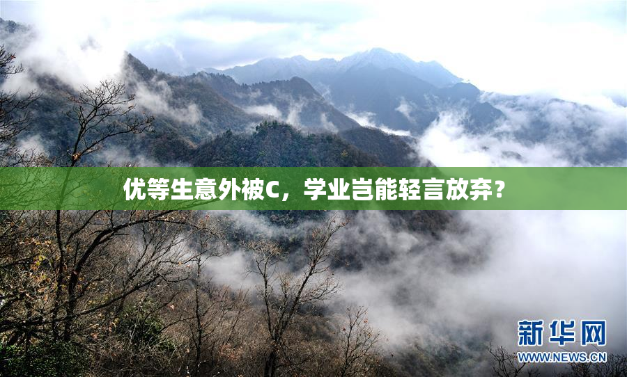优等生意外被C，学业岂能轻言放弃？