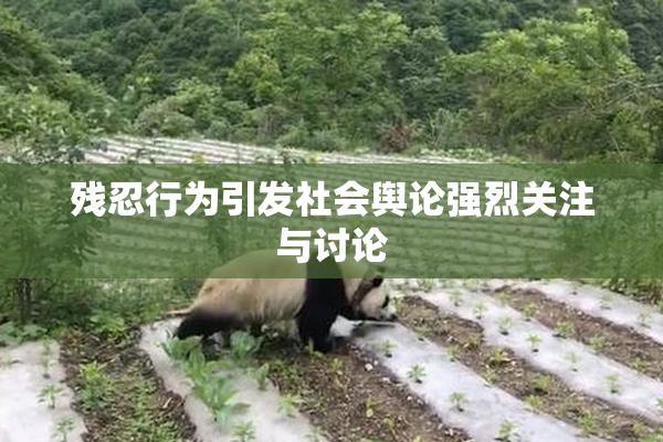 残忍行为引发社会舆论强烈关注与讨论