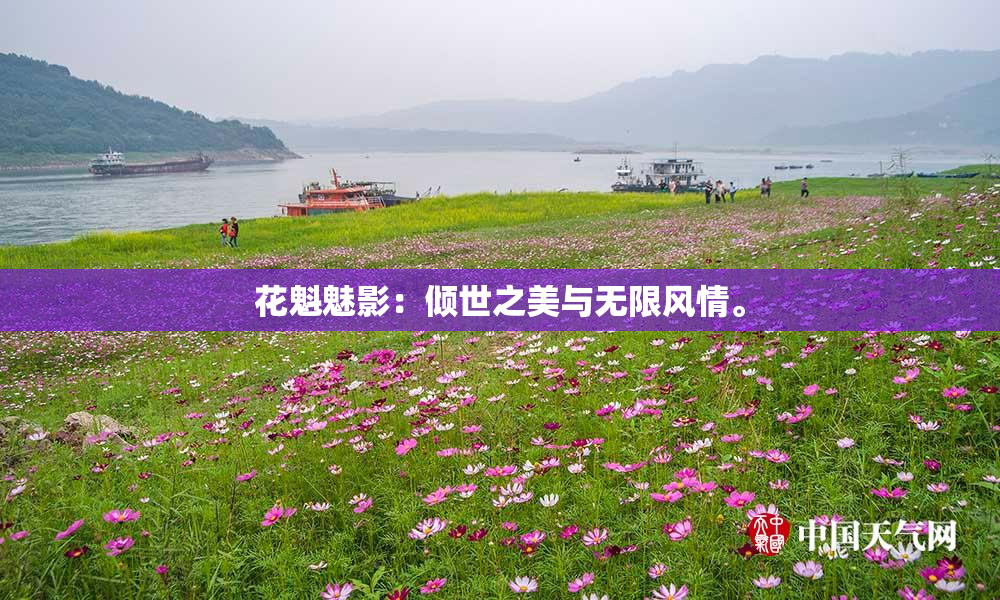 花魁魅影：倾世之美与无限风情。