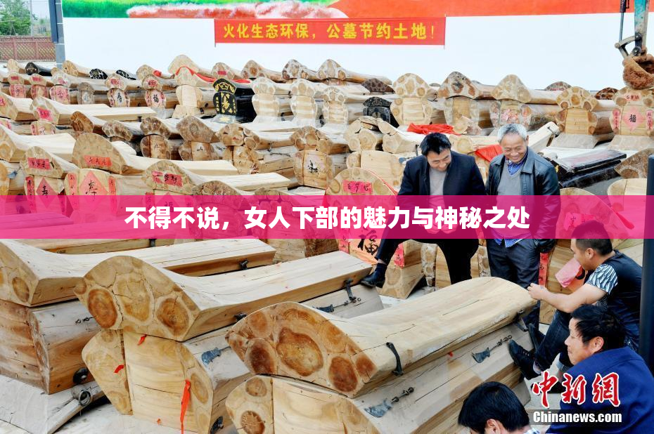 不得不说，女人下部的魅力与神秘之处