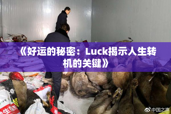 《好运的秘密：Luck揭示人生转机的关键》