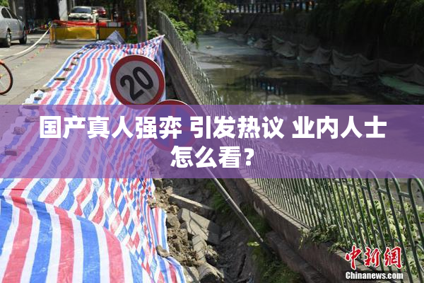 国产真人强弈 引发热议 业内人士怎么看？