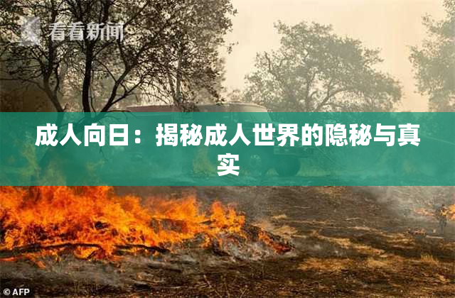 成人向日：揭秘成人世界的隐秘与真实