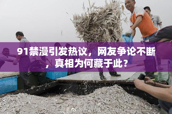 91禁漫引发热议，网友争论不断，真相为何藏于此？
