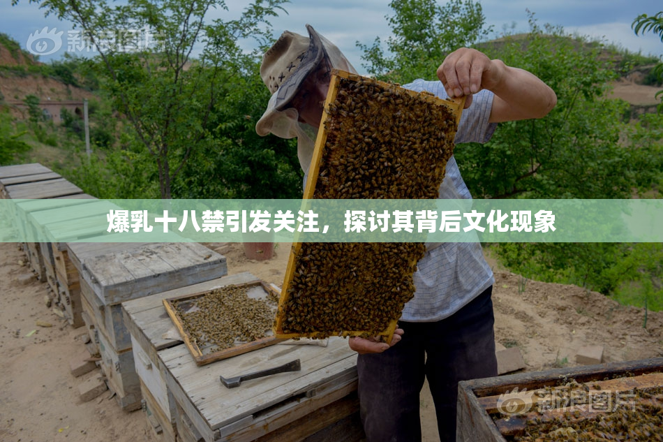 爆乳十八禁引发关注，探讨其背后文化现象