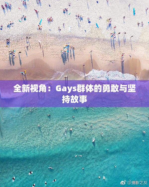 全新视角：Gays群体的勇敢与坚持故事
