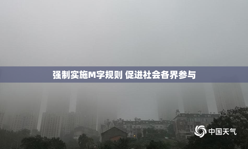 强制实施M字规则 促进社会各界参与