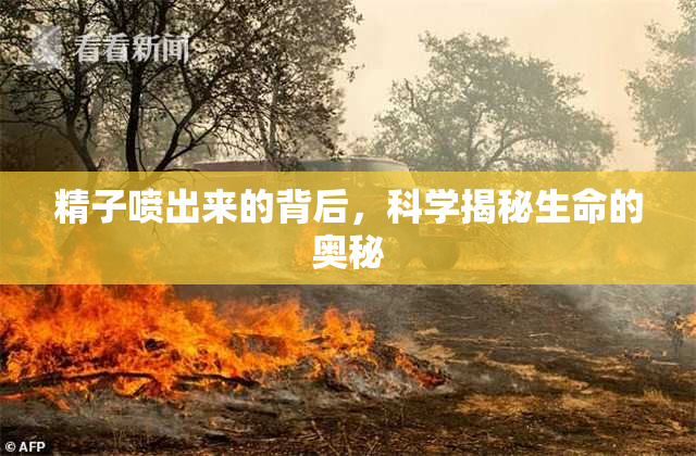精子喷出来的背后，科学揭秘生命的奥秘