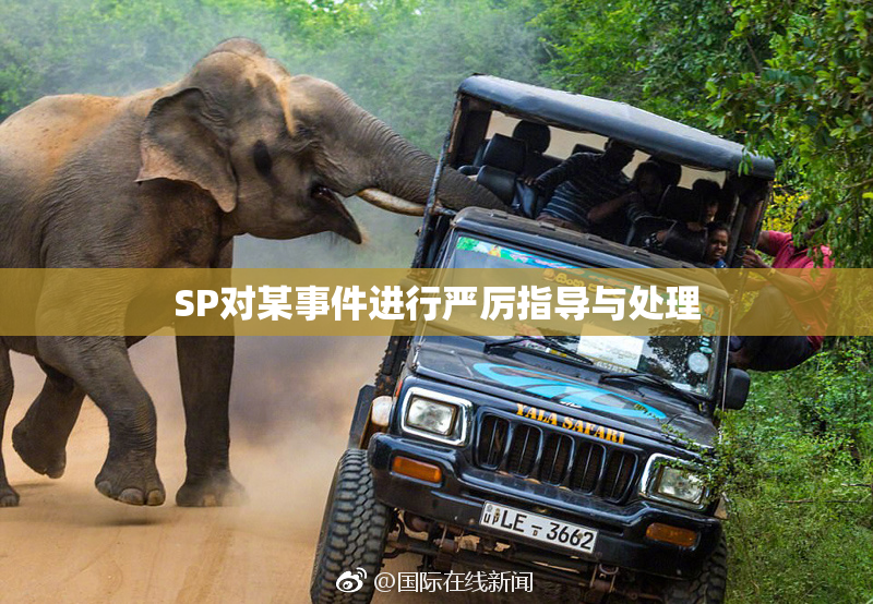 SP对某事件进行严厉指导与处理