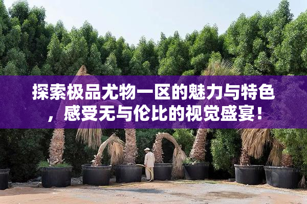 探索极品尤物一区的魅力与特色，感受无与伦比的视觉盛宴！
