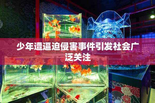 少年遭逼迫侵害事件引发社会广泛关注