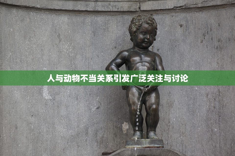 人与动物不当关系引发广泛关注与讨论