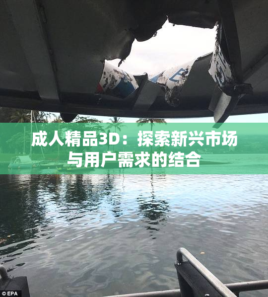 成人精品3D：探索新兴市场与用户需求的结合