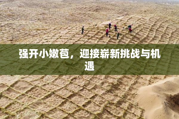 强开小嫩苞，迎接崭新挑战与机遇
