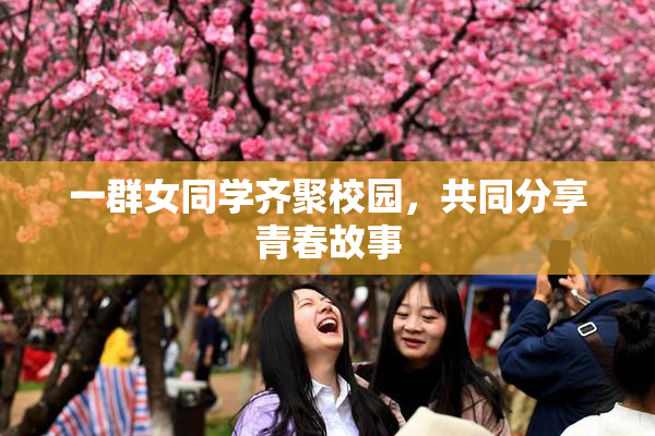一群女同学齐聚校园，共同分享青春故事