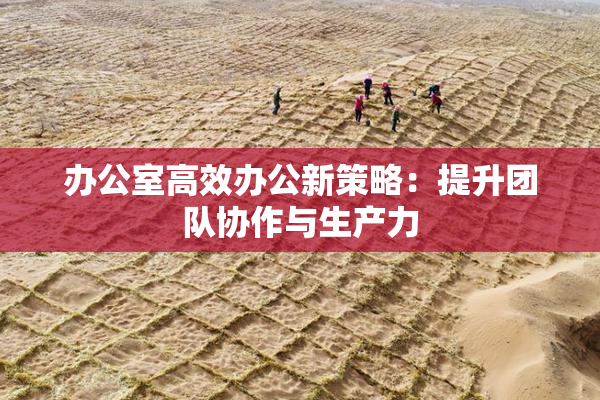 办公室高效办公新策略：提升团队协作与生产力