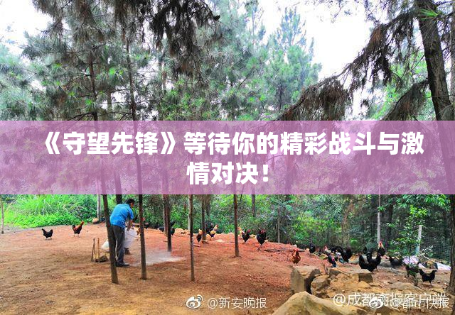 《守望先锋》等待你的精彩战斗与激情对决！