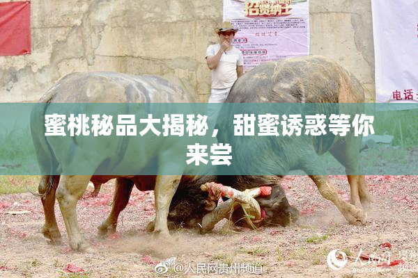 蜜桃秘品大揭秘，甜蜜诱惑等你来尝