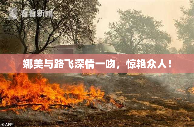 娜美与路飞深情一吻，惊艳众人！