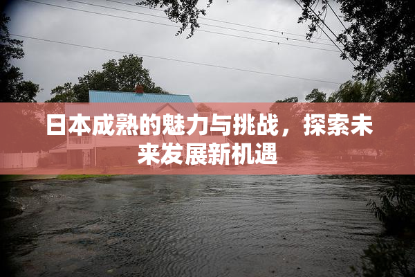 日本成熟的魅力与挑战，探索未来发展新机遇