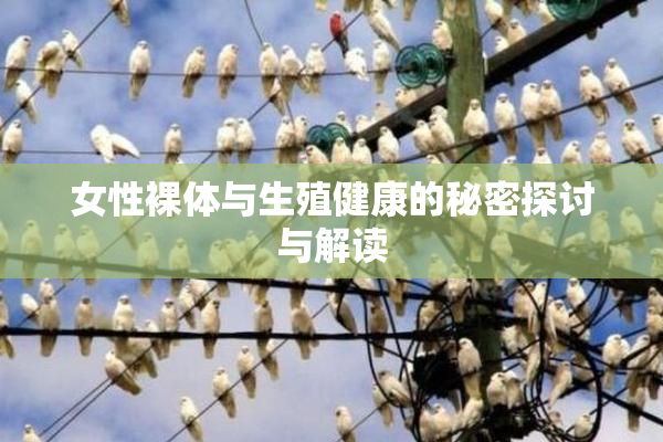 女性裸体与生殖健康的秘密探讨与解读