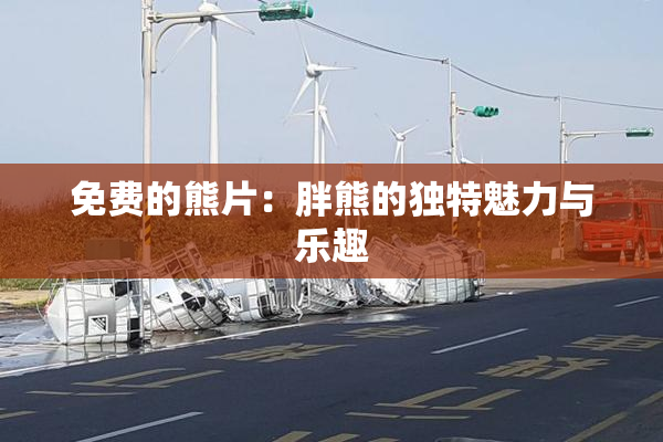 免费的熊片：胖熊的独特魅力与乐趣