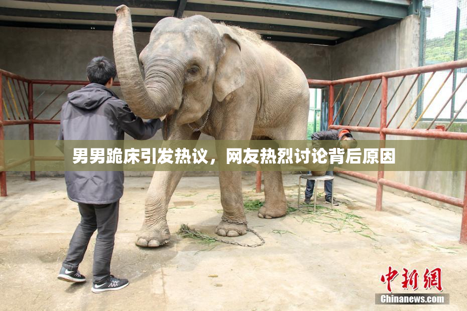 男男跪床引发热议，网友热烈讨论背后原因