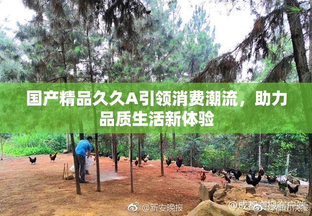 国产精品久久A引领消费潮流，助力品质生活新体验