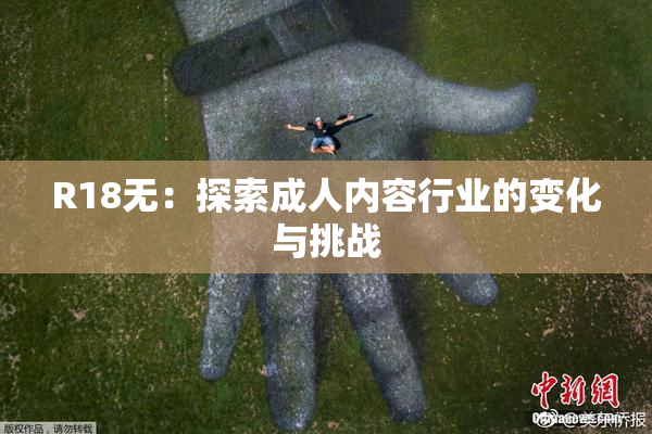 R18无：探索成人内容行业的变化与挑战