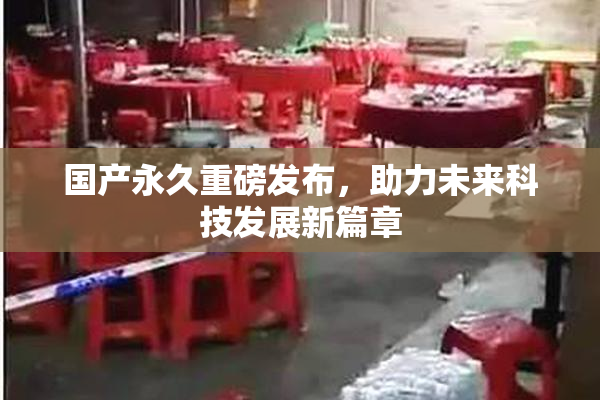 国产永久重磅发布，助力未来科技发展新篇章