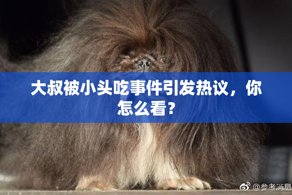 大叔被小头吃事件引发热议，你怎么看？